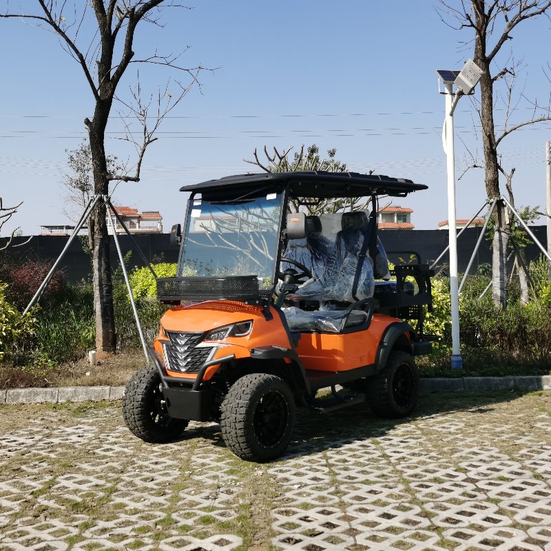 II + II Seater Electric Hunting vehiculum cum Lithium altilium