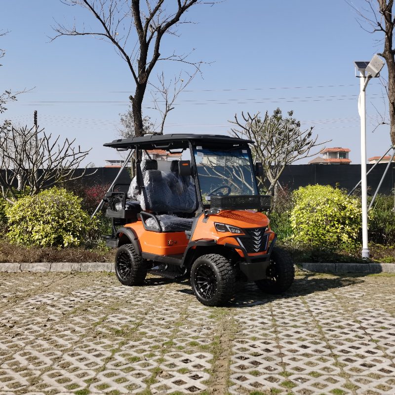II Seater Electric Hunting vehiculum cum Lithium altilium