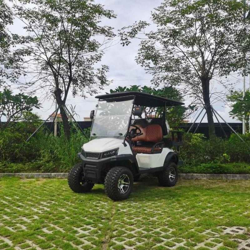 II Seater Electric levavi venandi vehiculum cum Lithium altilium H3