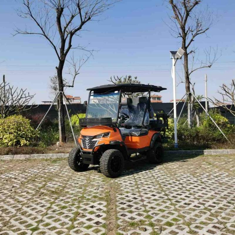 II Seater Electric levavi venandi vehiculum cum Lithium altilium
