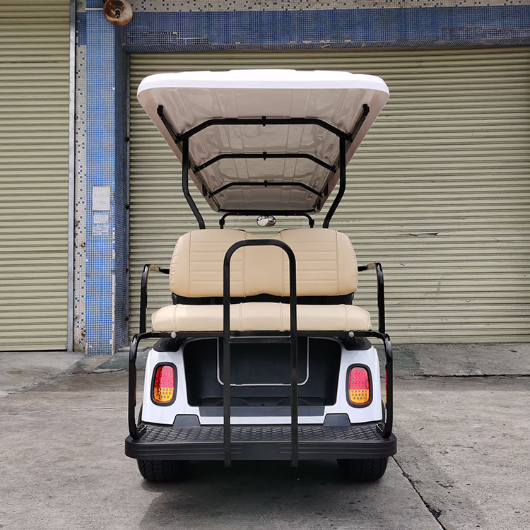 Quid Salutis Features si quaeras in A Modern Electric sightseeing Car