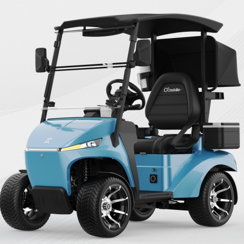 48V Lithium altilium vicum legale pactum multi-functionalis vehiculum - unum-sedes electrica golf cart