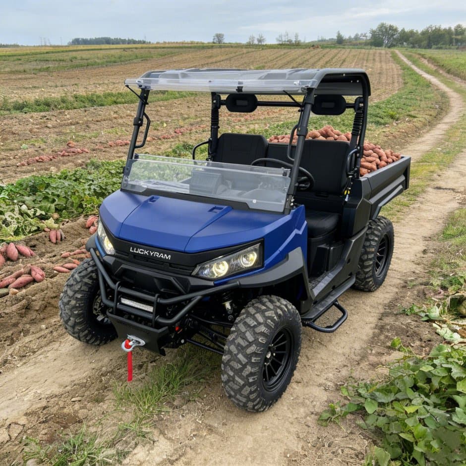 73.6V 4WD UTV 10kw AC Motor EPS Gubernaculo 150ah Battery