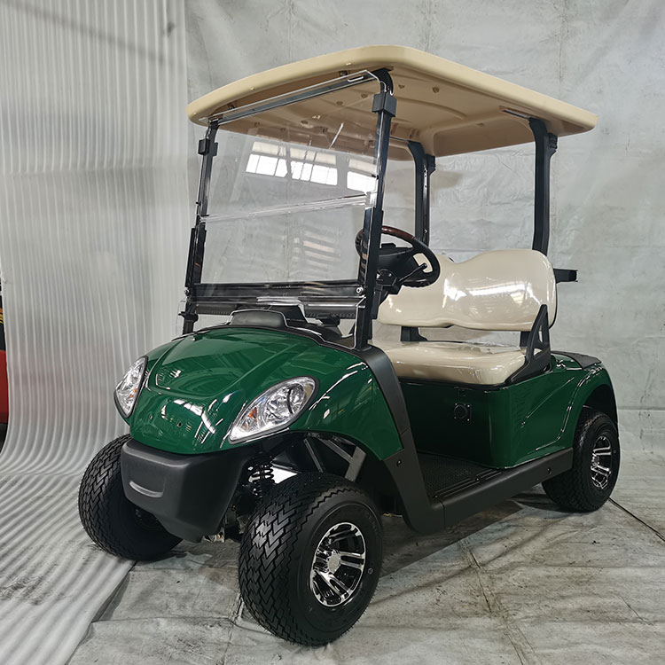 Potens 2 seater electricum golf plaustrum instructum cum lithio altilium